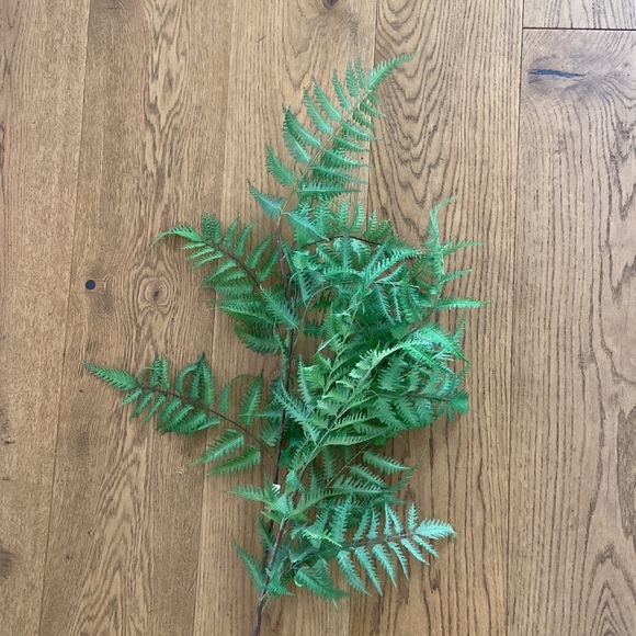 Faux Fern Stems - Picture 6 of 6